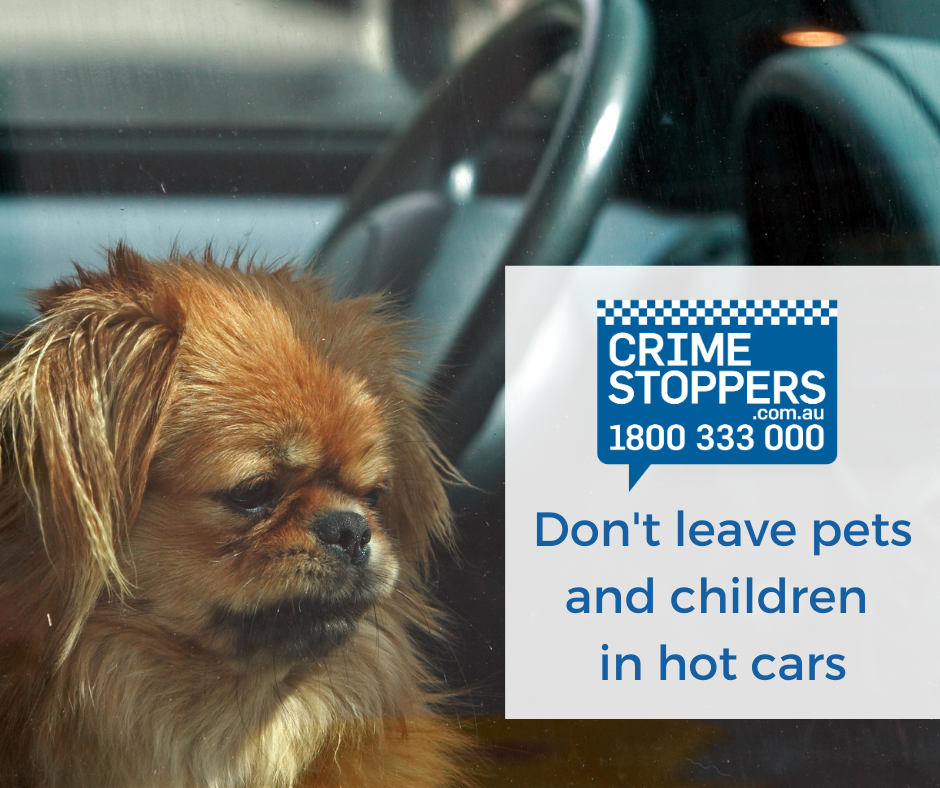 Don’t leave pets and children in hot cars