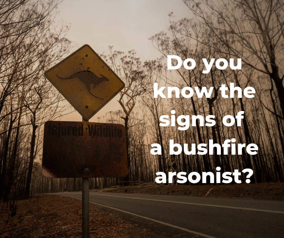 Bushfire arson