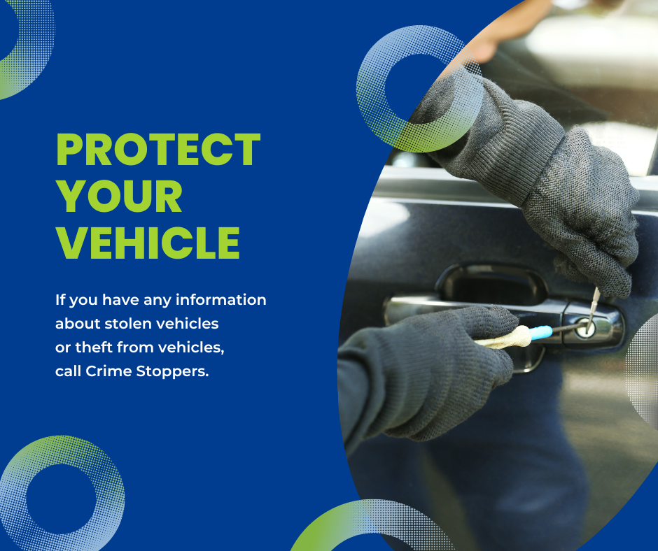 Protect your vehicle by following some of these simple tips: